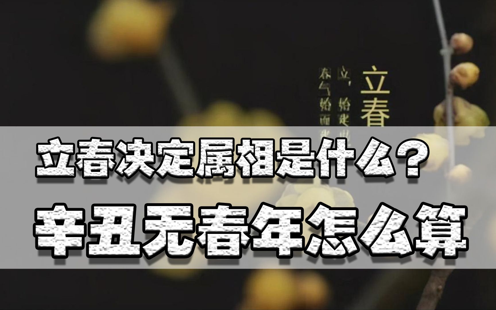 明天是大年初一,但牛年早就来到,为什么有人说属什么从立春开始哔哩哔哩bilibili