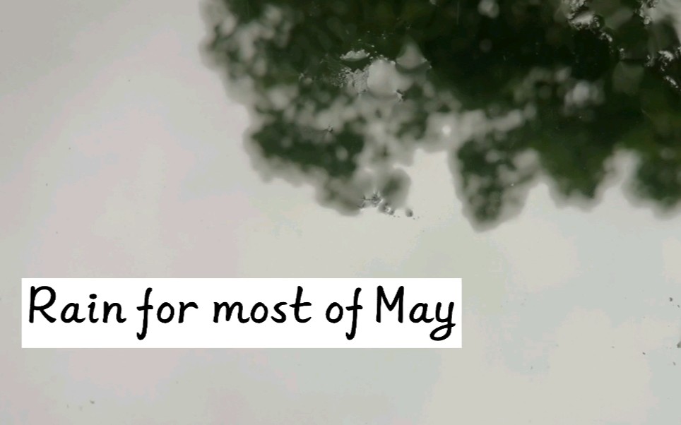 [图]My May