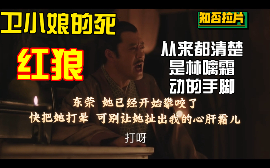 知否拉片 这段戏看了64遍后 红狼究竟知不知道是林噙霜害死了卫恕意 总算让我弄明白了哔哩哔哩bilibili