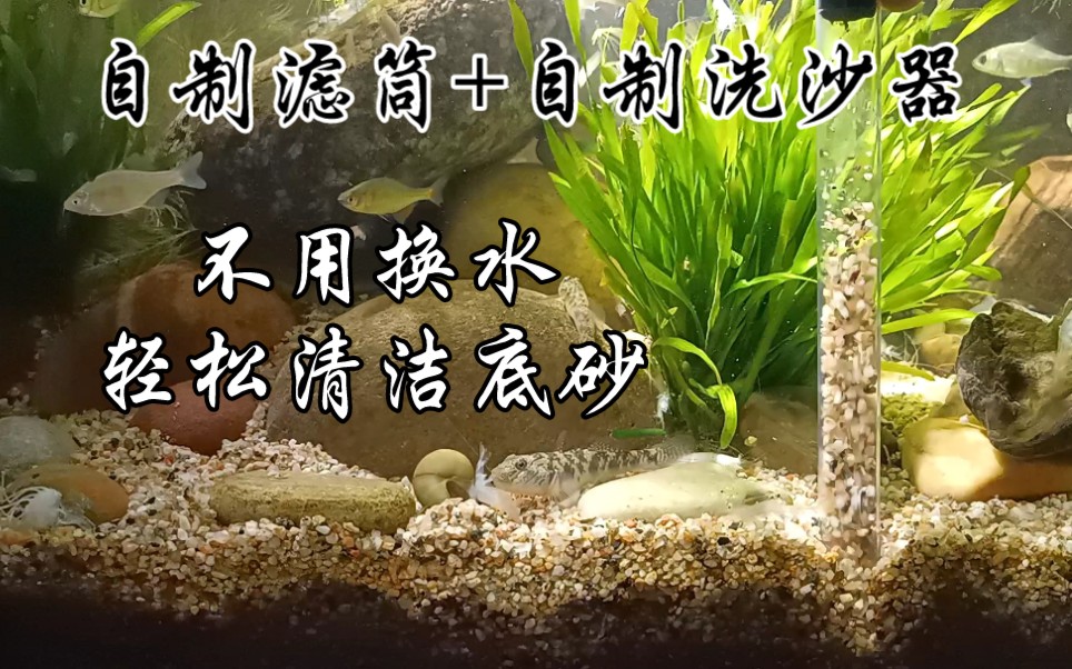 自制了这两个神器轻松清洁鱼缸的底砂,还不用大换水
