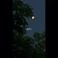 Descargar video: 【破云】冷知识:黑桃k闻劭是实名考上公务员的