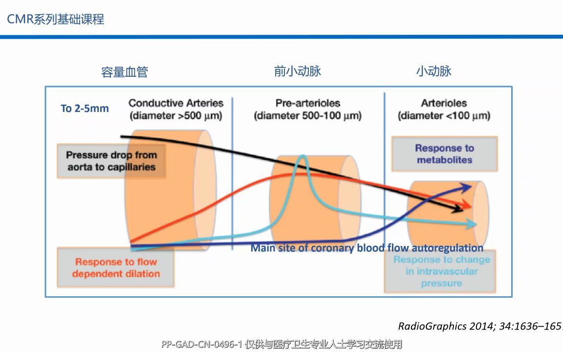 2+磁共振心肌灌注成像哔哩哔哩bilibili