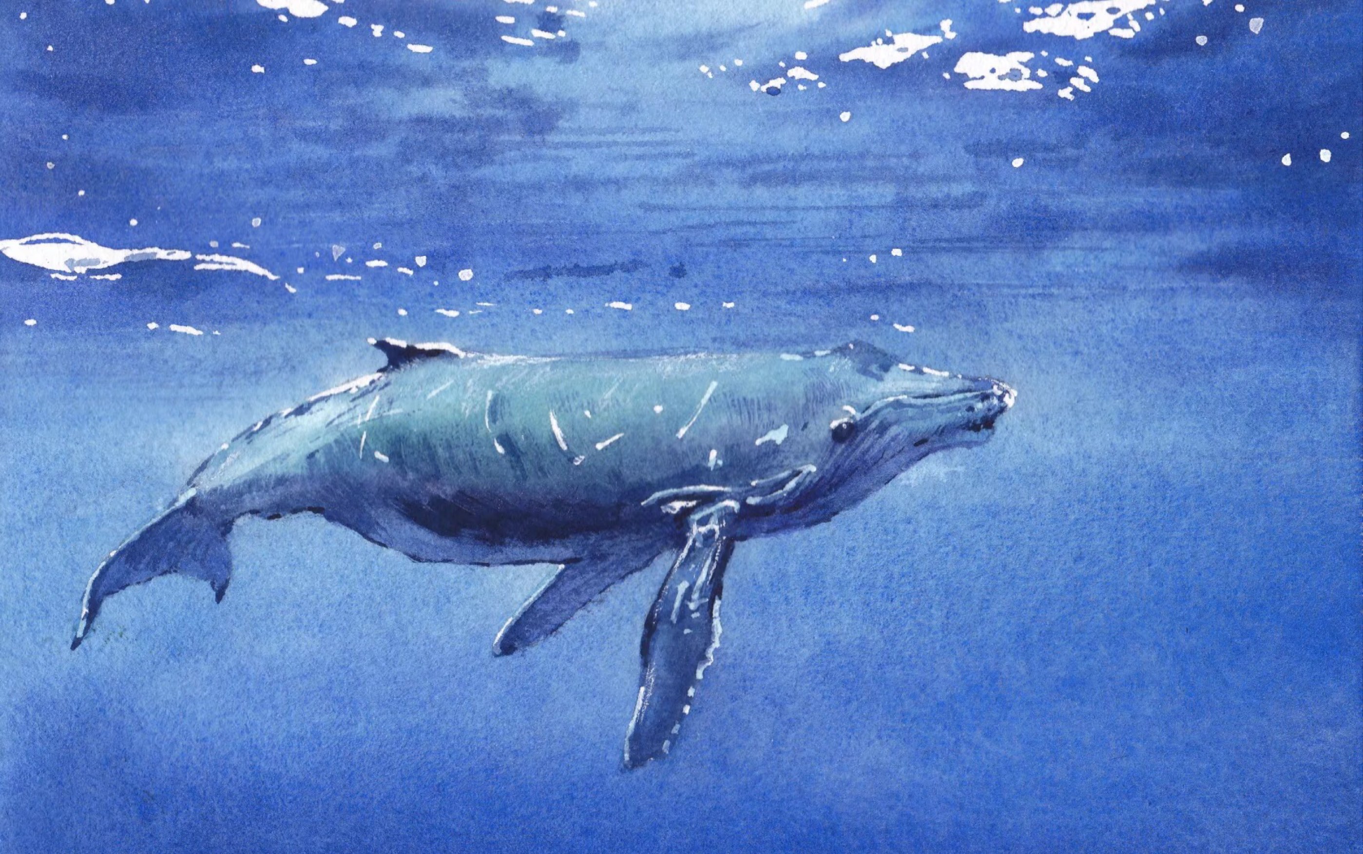 水彩风景入门课程