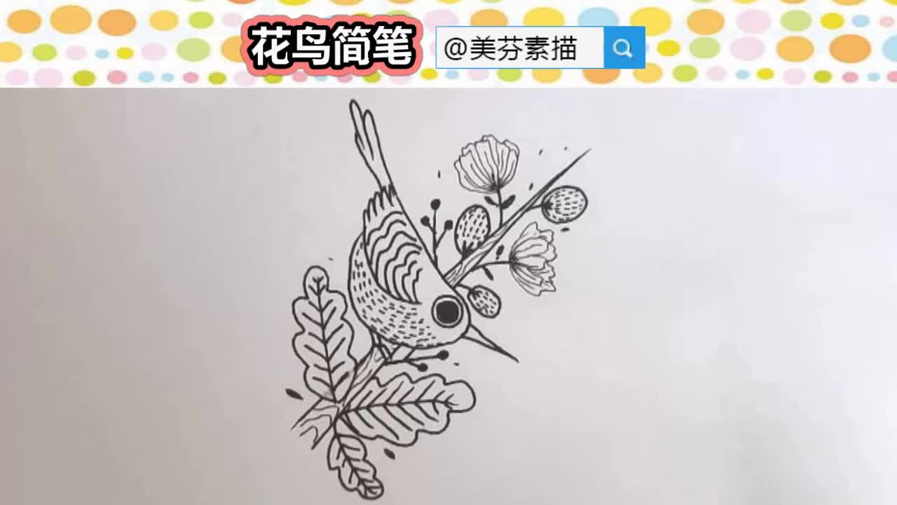 儿童线描画教程:简单又好看的花鸟小鸟站树枝黑白简笔线描画画法步骤哔哩哔哩bilibili