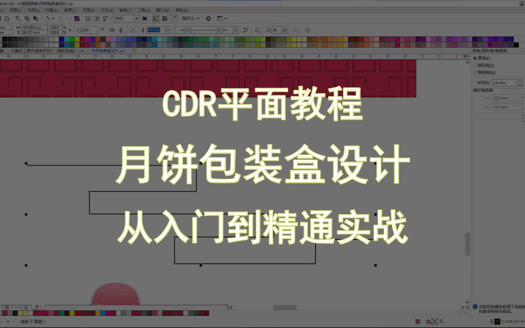 【CDR平面教程】月饼包装盒设计 从入门到精通实战哔哩哔哩bilibili