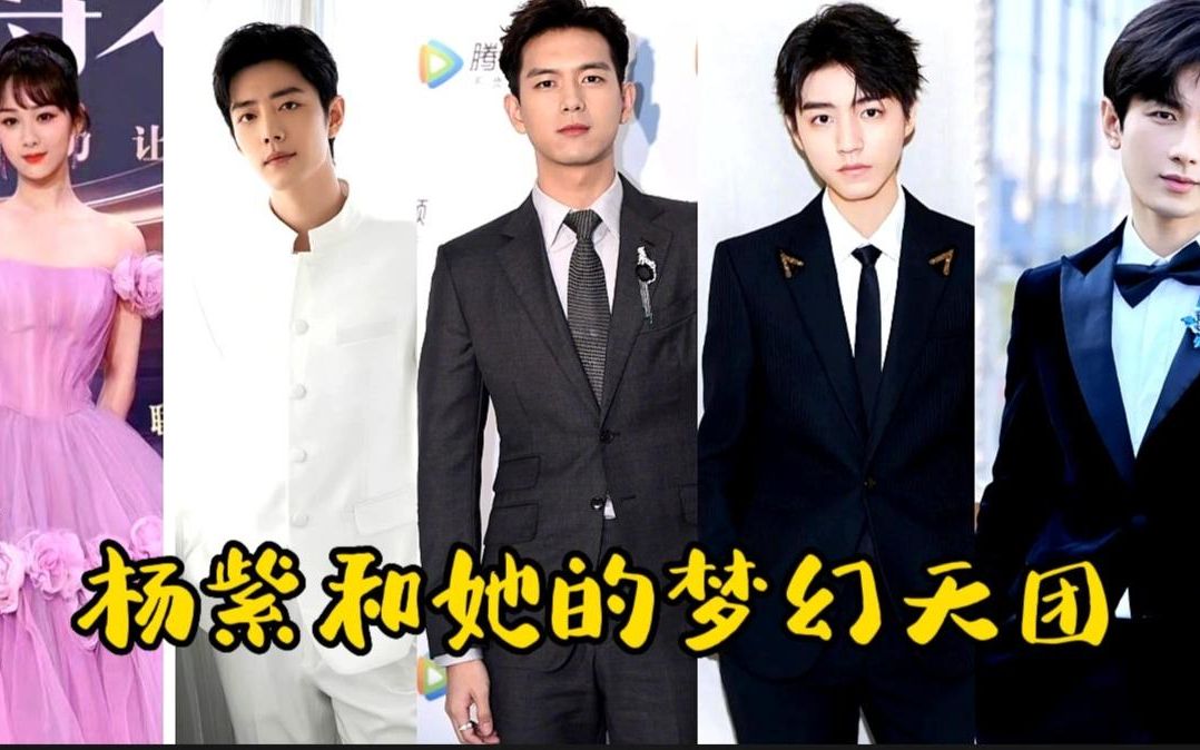 杨紫合作过的男演员都很帅.