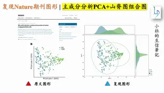 下载视频: 复现Nature期刊图形 | 主成分分析PCA+山脊图组合图