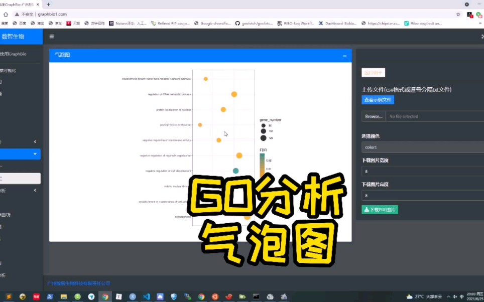 【生物信息分析】GO或KEGG分析中最常见的气泡图哔哩哔哩bilibili