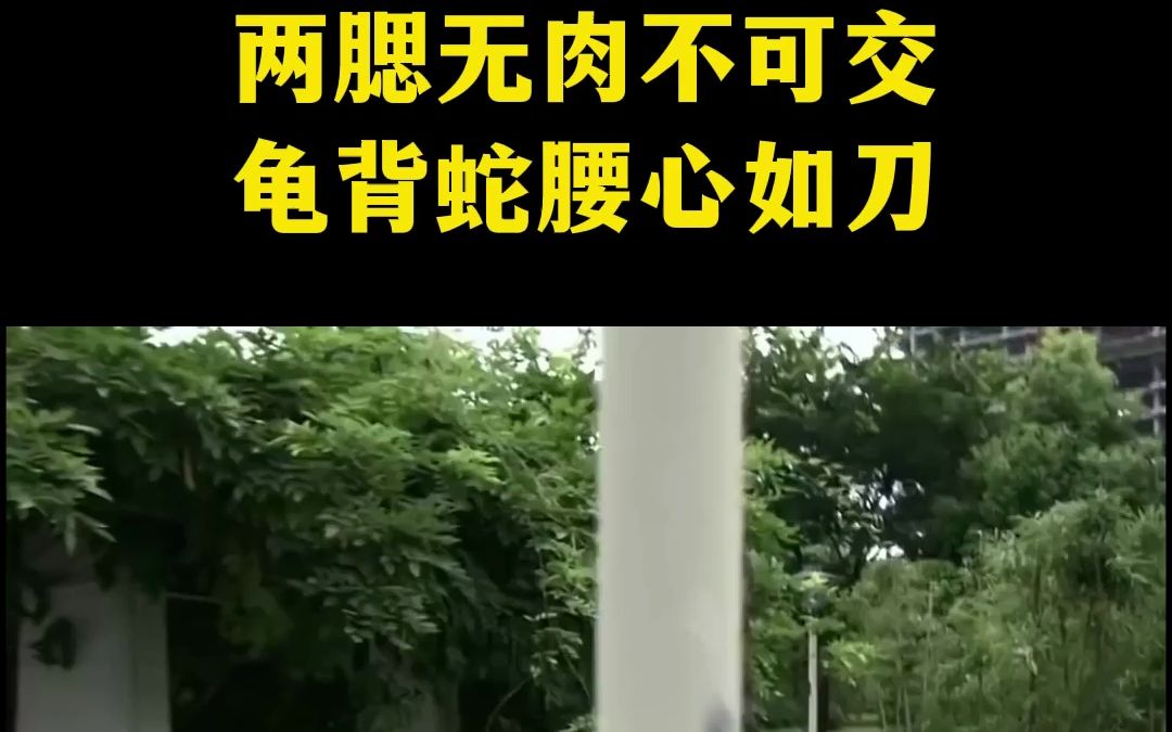 两腮无肉不可交 龟背蛇腰心如刀