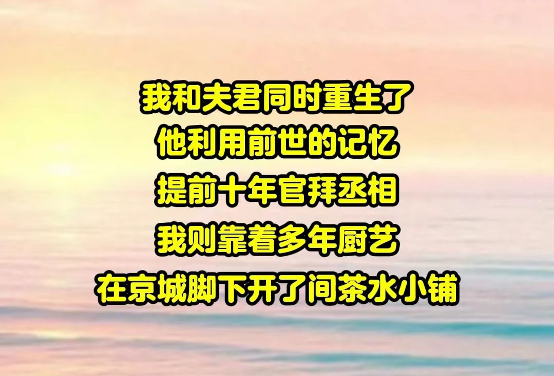 [图]【半糖追光01】我和夫君都带着记忆重生了，他利用前世的记忆，提前十年官拜丞相，而我则靠多年的厨艺，在京城脚下开了间茶水小铺