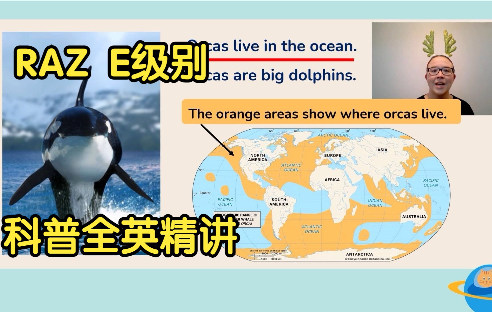 RAZ E级别 |All about Orcas科普全英精讲哔哩哔哩bilibili