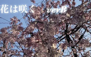 花は咲くか 搜索结果 哔哩哔哩 Bilibili