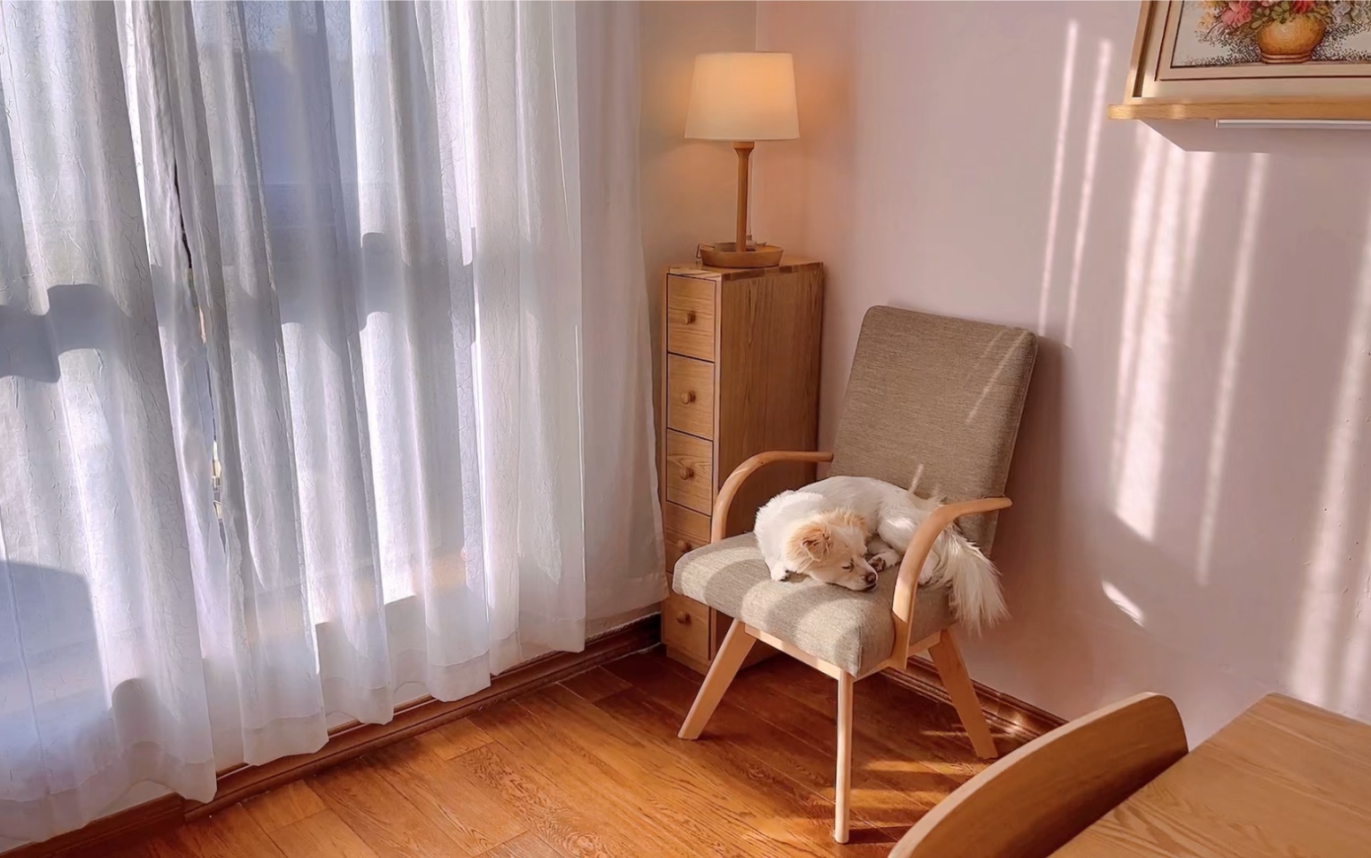 60 我的素简生活