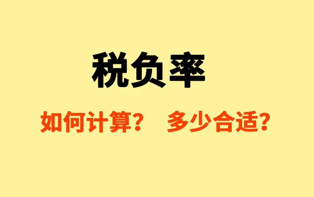 税负率如何计算?企业别搞错了,引来税务局核查!哔哩哔哩bilibili