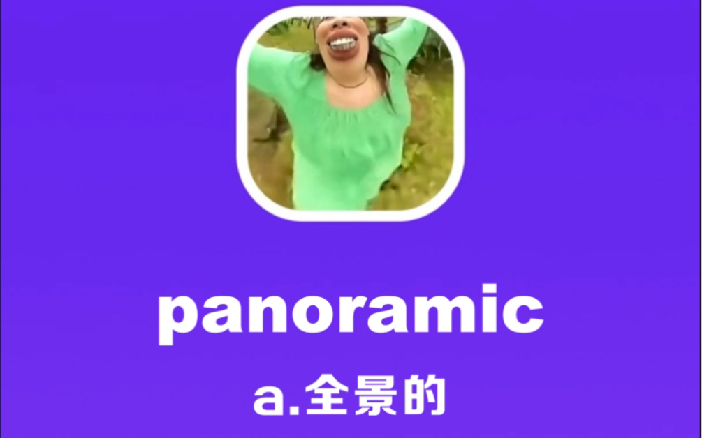 panoramic:全景的哔哩哔哩bilibili