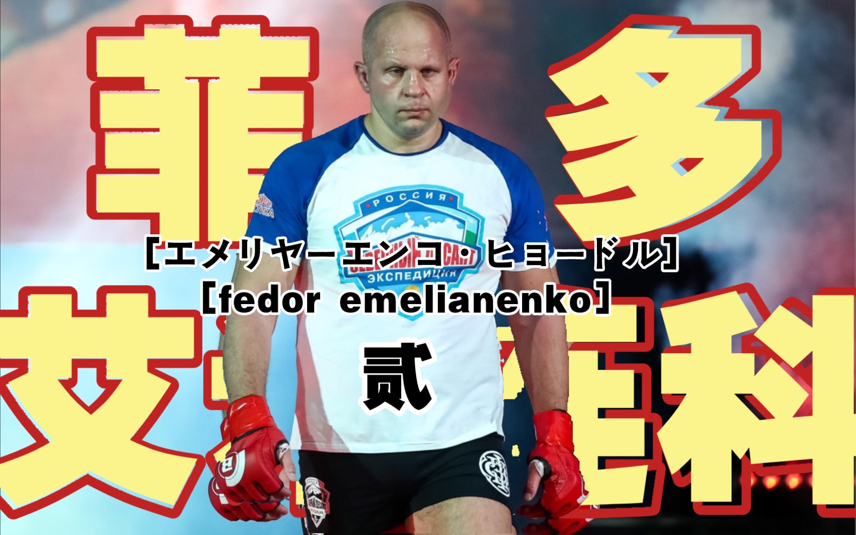 面无表情的菲多连斩数名ufc冠军,却因为他变相导致pridefc破产倒闭.