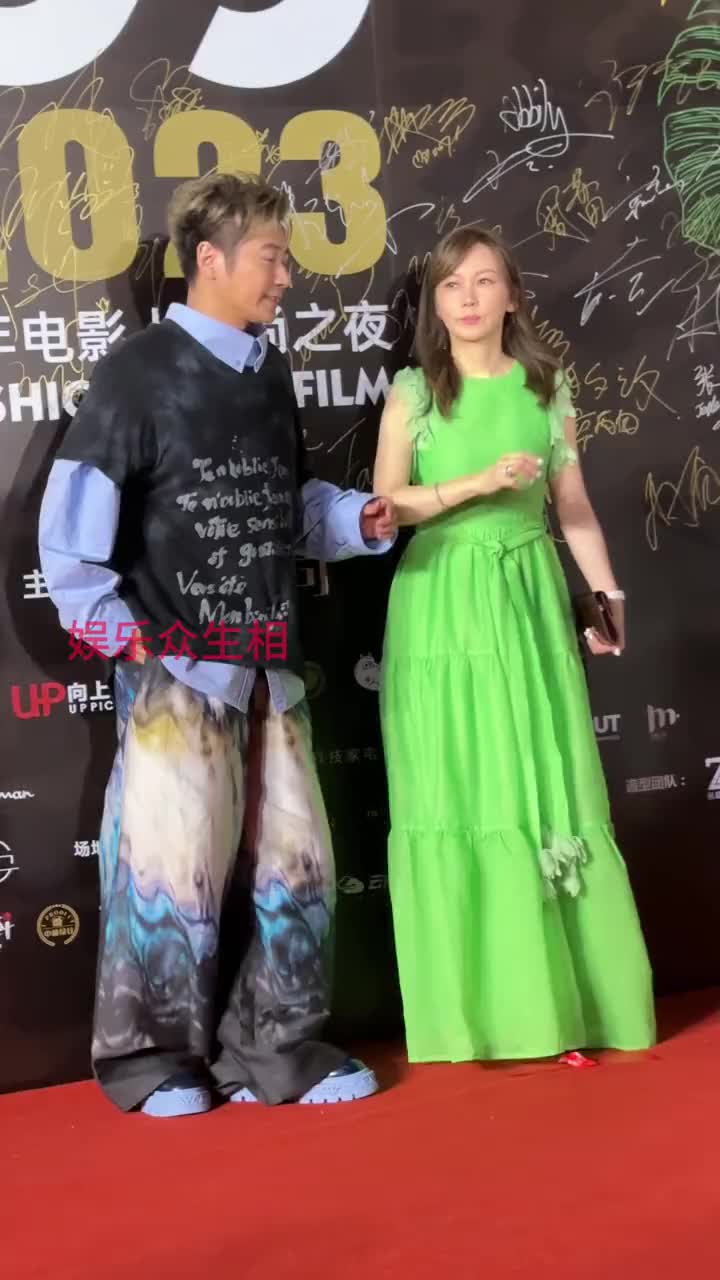 孙耀威老婆陈美诗简介图片