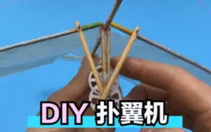 Download Video: DIY扑翼飞行器，仿生机器鸟