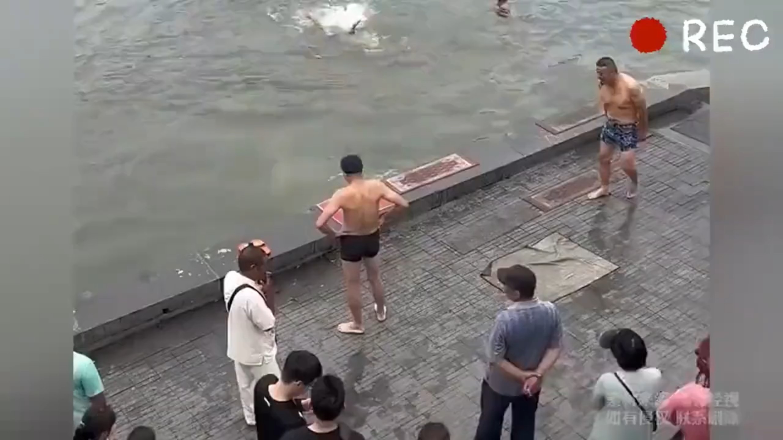 男子不慎落水，救人者淡定站岸边观察，等对方精疲力尽才下水救人