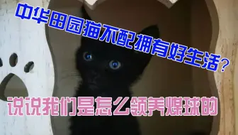 刚刃研磨 哔哩哔哩 Bilibili