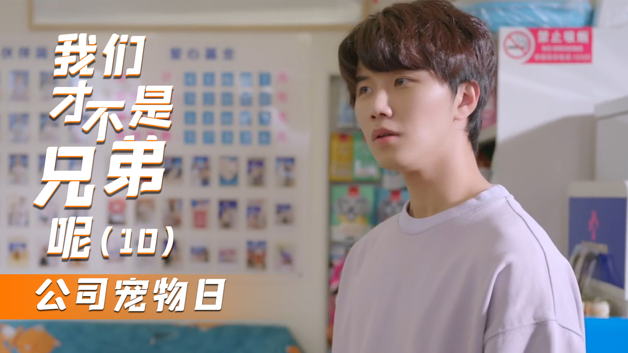 我们才不是兄弟呢:小伙丢失比赛宠物,且看室友如何救场(10)_哔哩哔哩_bilibili