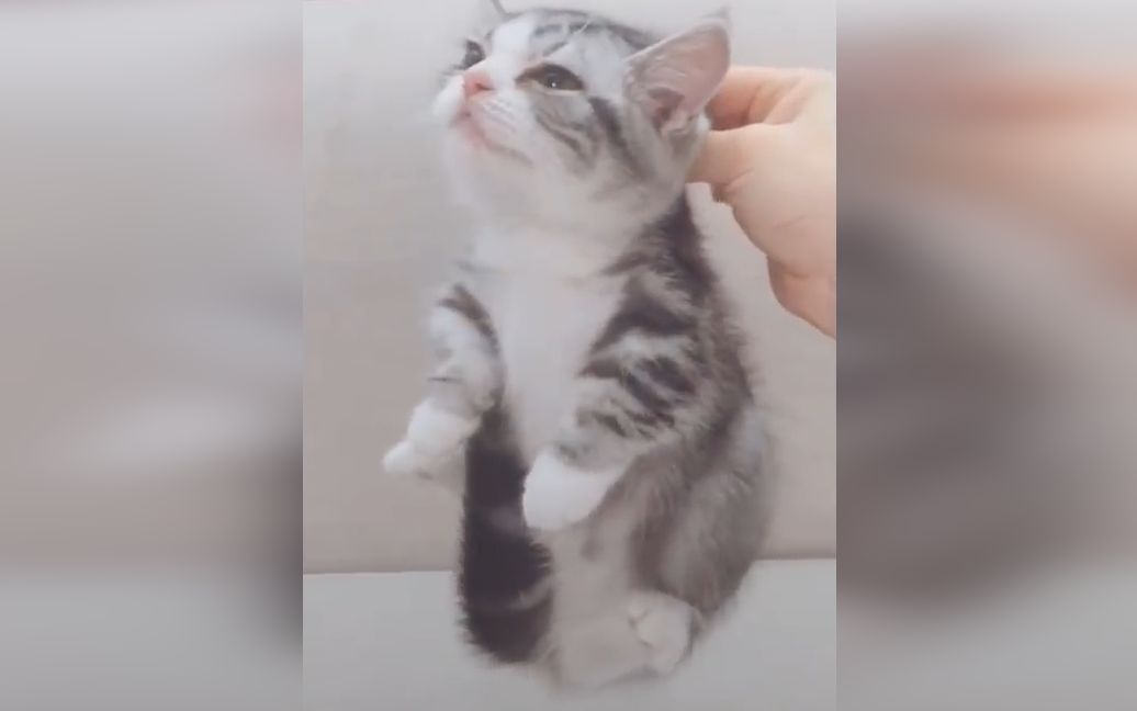 是谁掐住了我命运的后颈脖