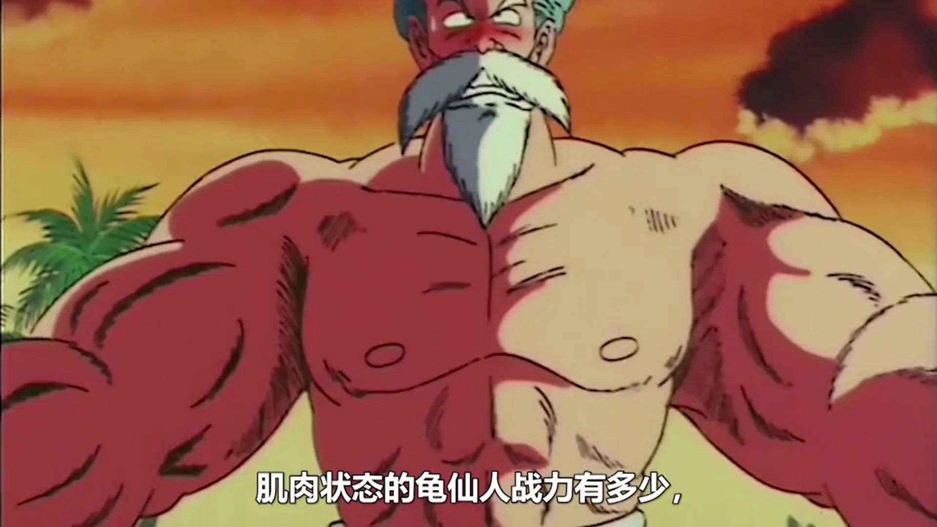 龙珠z:龟仙人的肌肉形态 战斗力有多高
