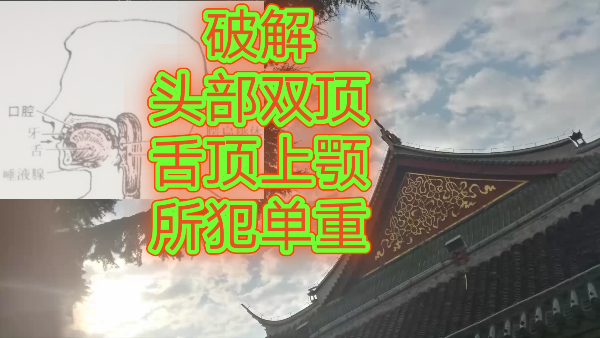 舌吸上颚.破解舌顶上颚之弊.哔哩哔哩bilibili