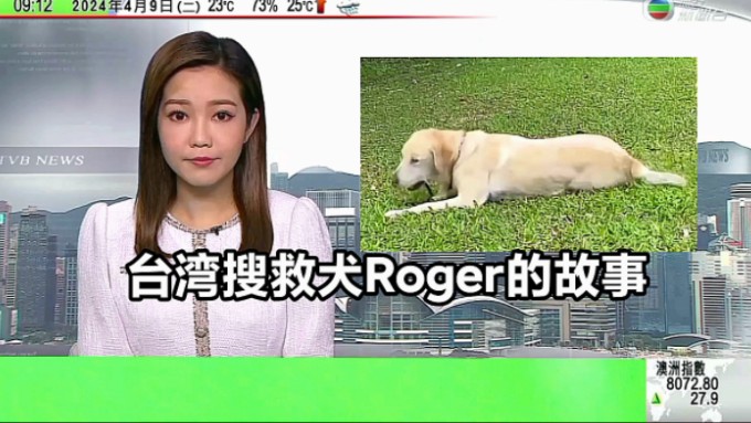 【无线新闻】台湾搜救犬Roger的故事哔哩哔哩bilibili