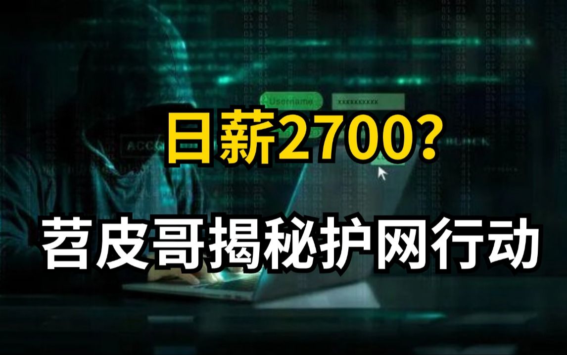 日薪2700?什么是护网行动?普通人可以参加吗 (网络安全/信息安全)哔哩哔哩bilibili