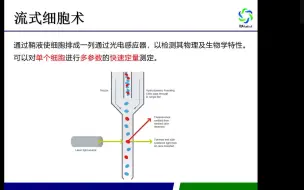 Download Video: 流式细胞仪理论讲解