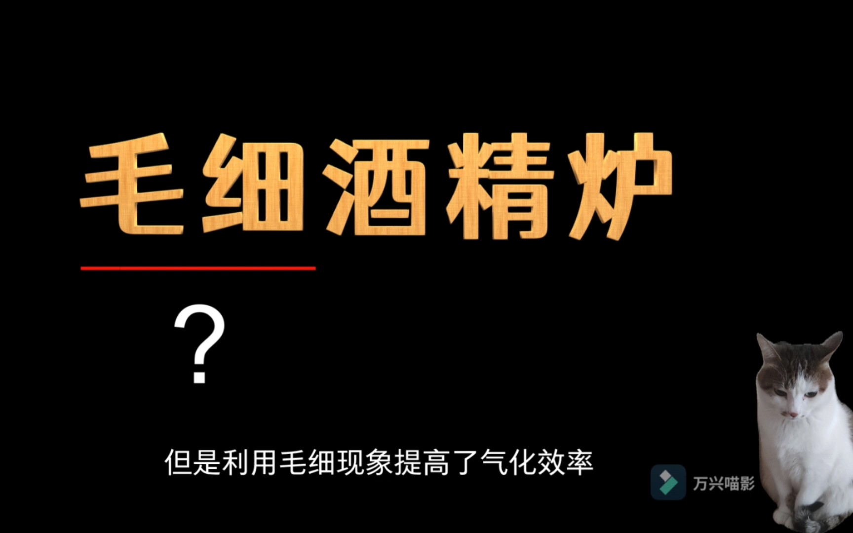 [图]什么是毛细酒精炉，自创设计能成功吗？