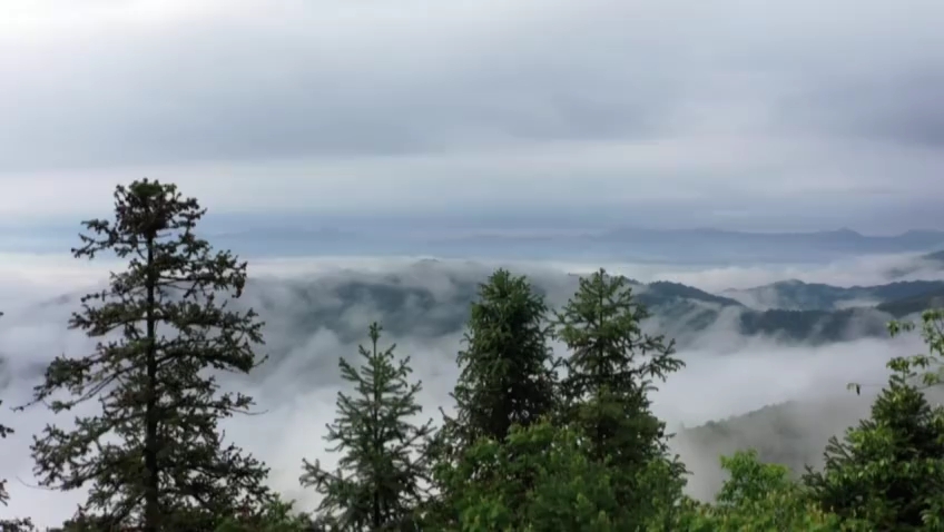 [图]江西铜鼓：雨过天青色 云海绕山间