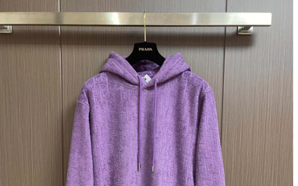 dior迪奥高仿2023秋冬新款毛巾暗纹提花logo连帽卫衣