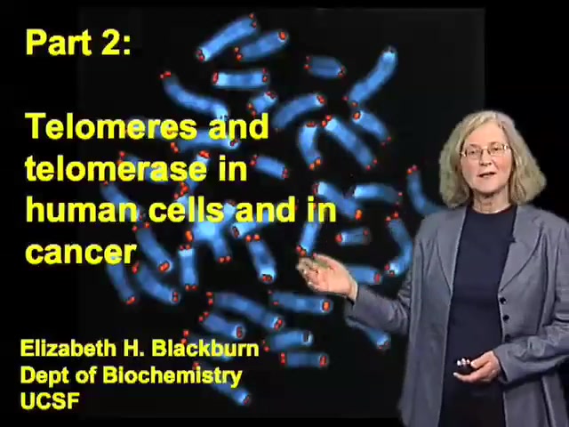 [图]【诺奖教授讲座】by Elizabeth Blackburn 端粒的前世今生：让时光逆流而上（雾） 端粒与衰老、肿瘤、压力