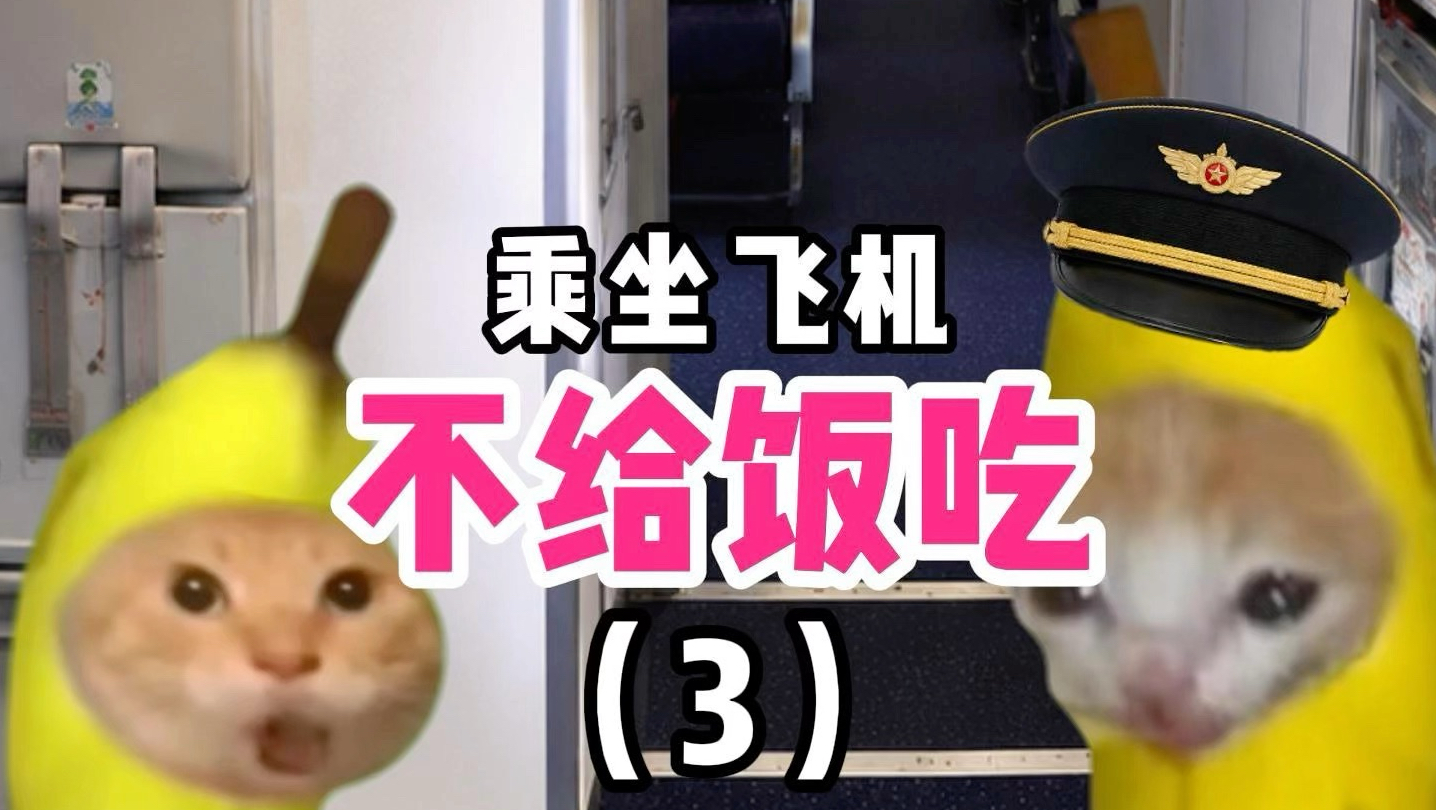 中间这个还给饭吃吗(3)