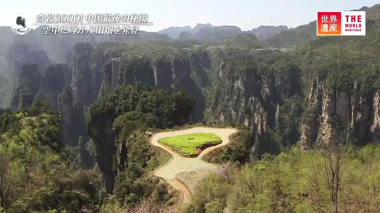 [图][世界遗产]   2018-05-20 武陵源风景名胜区