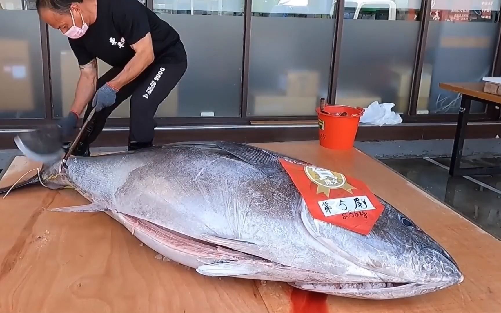 金枪鱼刀的制作过程,每位切鱼师傅的标配工具,刀刃材质是钢,刀身是铁