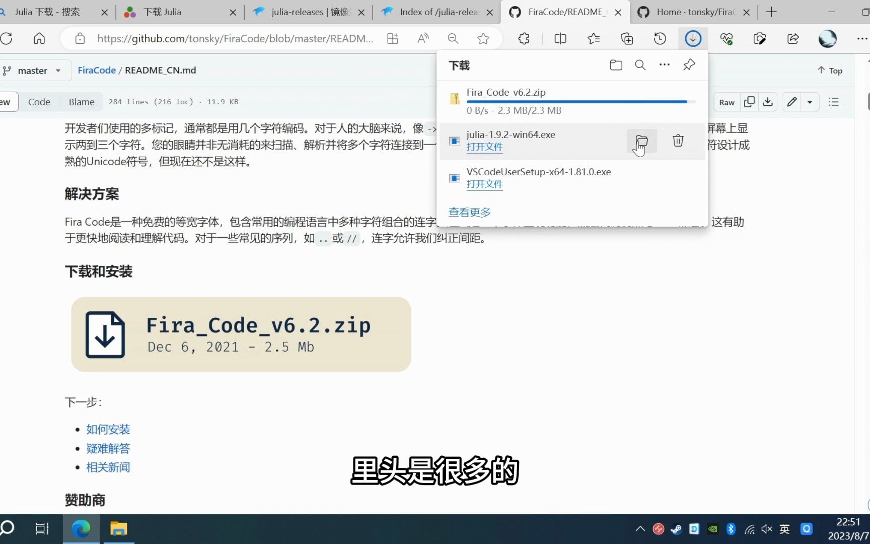 Julia安装,访问Github方法,Fira Code字体安装,VS Code配置,Syslab推荐哔哩哔哩bilibili