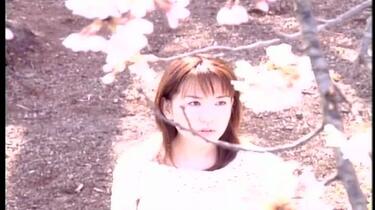 野川樱（野川さくら）2004年春演唱会_哔哩哔哩_bilibili