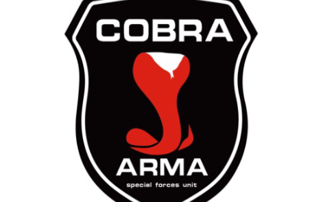 Arma3 COBRA特别行动组哔哩哔哩bilibili武装突袭3