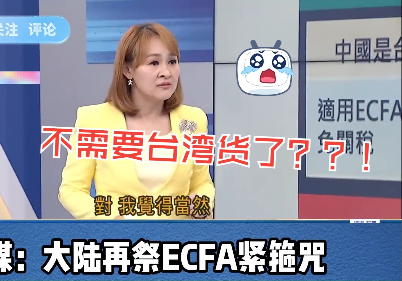 志郁:不需要台湾货了??!台媒:大陆再祭ECFA紧箍咒哔哩哔哩bilibili