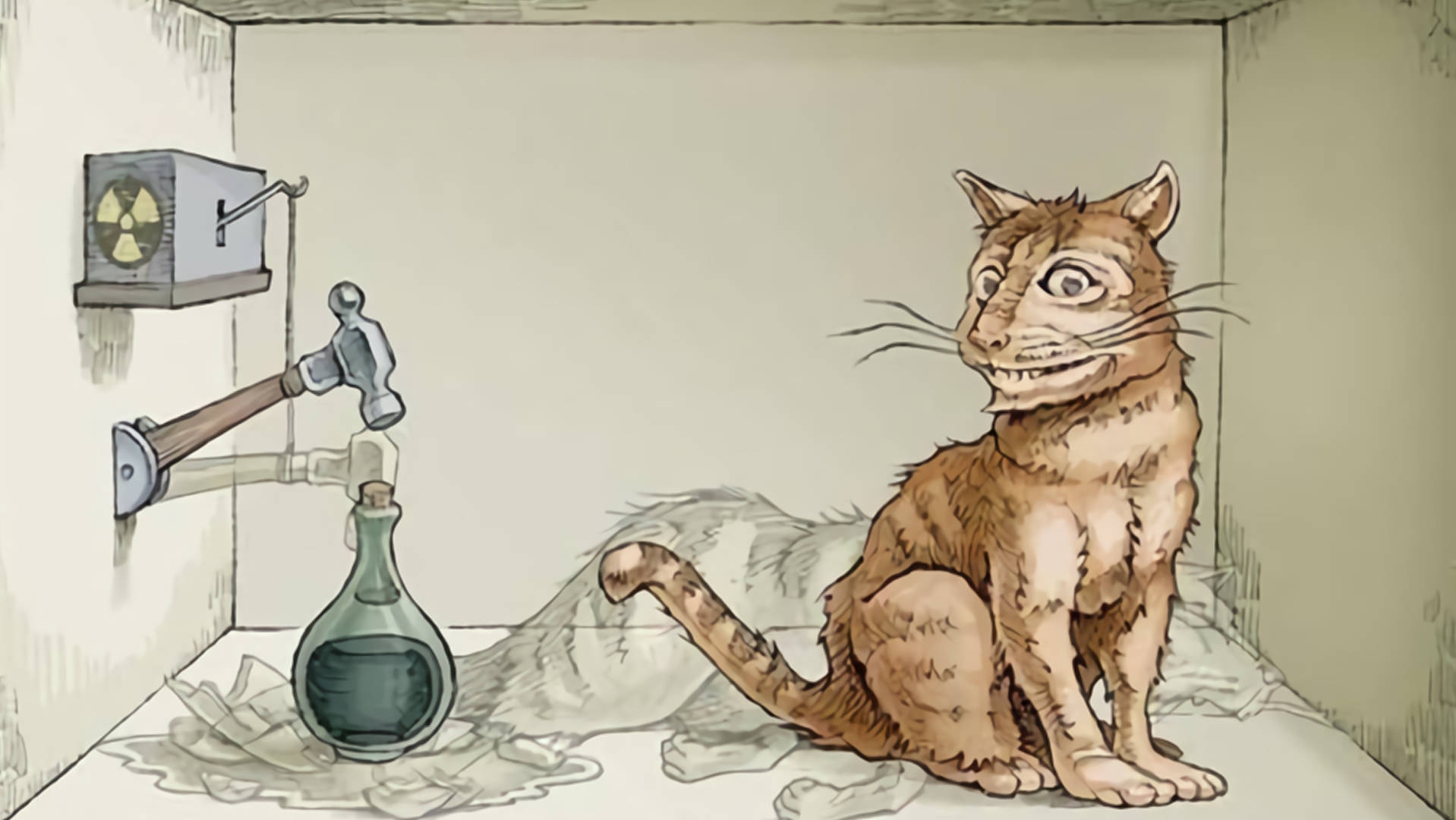 薛定谔的猫2