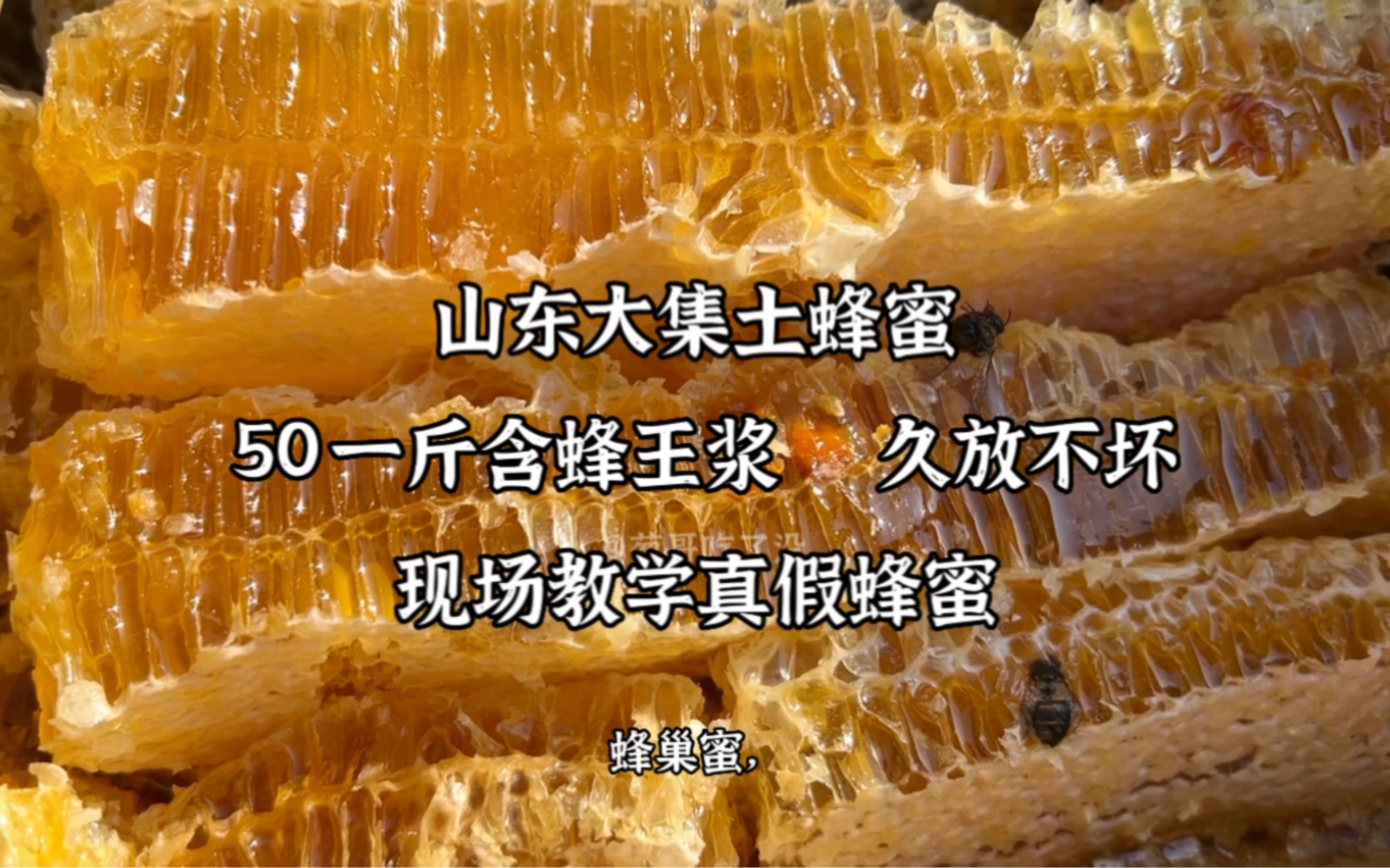 山东大集土蜂蜜,现场教学真假蜂蜜,50一斤蜂巢蜜带蜂王浆,贵吗哔哩哔哩bilibili