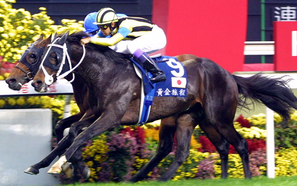 赛马黄金旅程的退役之战2001香港瓶