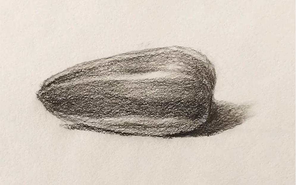 瓜子的素描画法图片