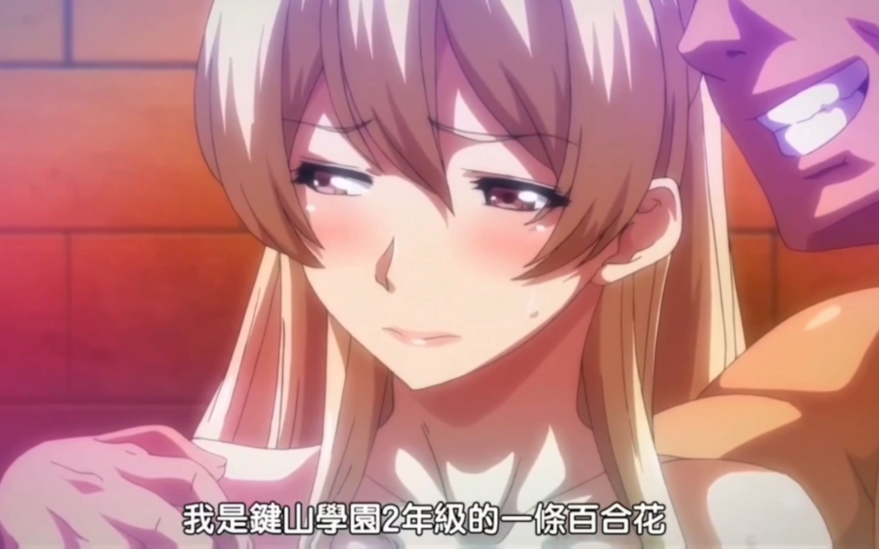 雷火剑全部228部自整理,58.8g78