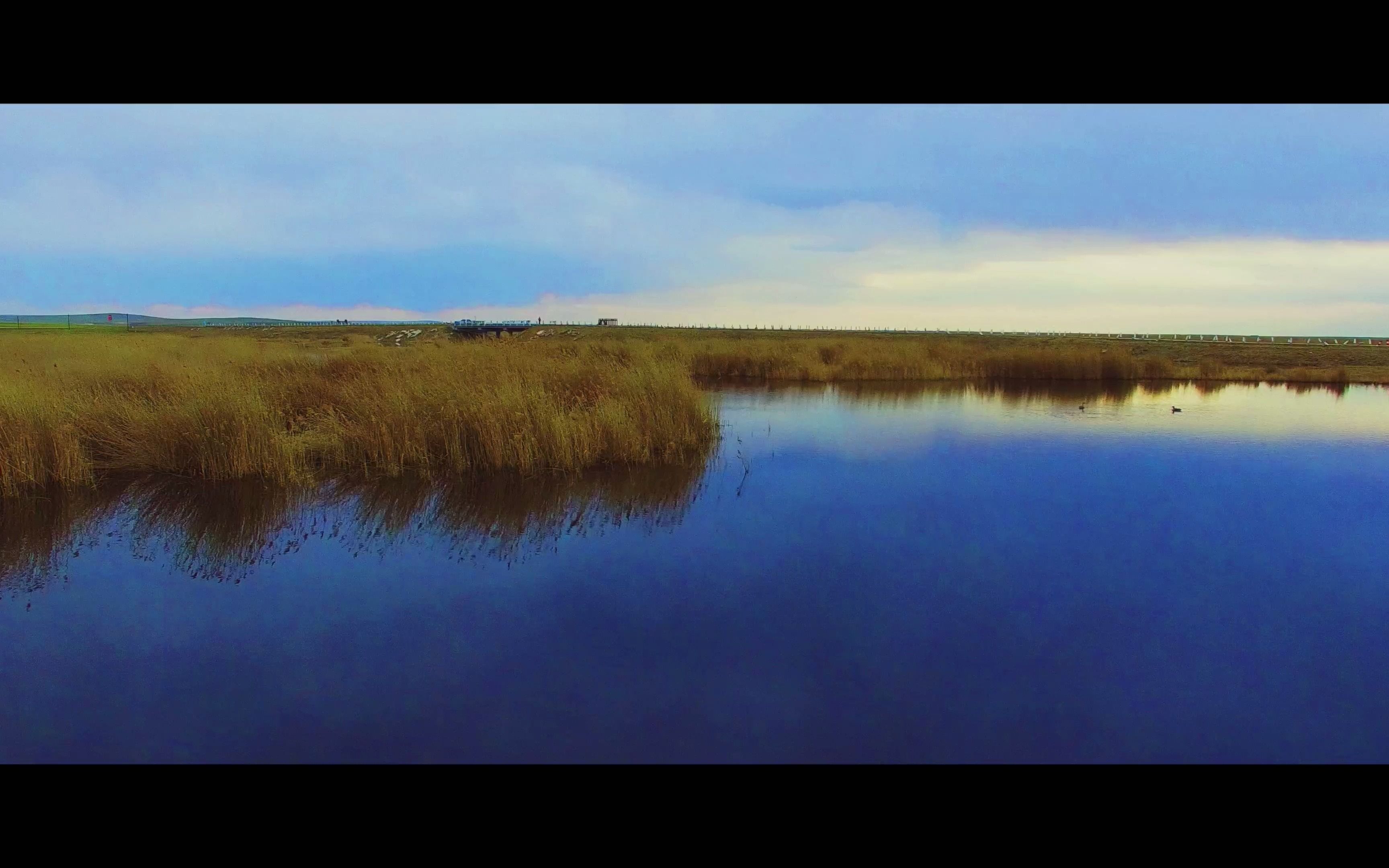 呼伦贝尔辉河湿地