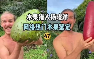 Télécharger la video: 【水果猎人】网络热门水果鉴定47