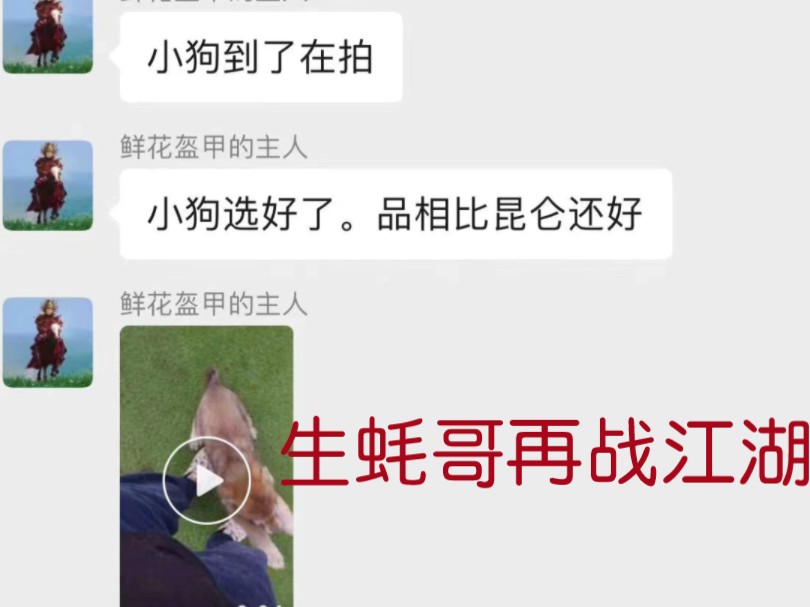 生蚝哥勇闯天涯真爱粉群透露已经重新选好了捷克狼犬